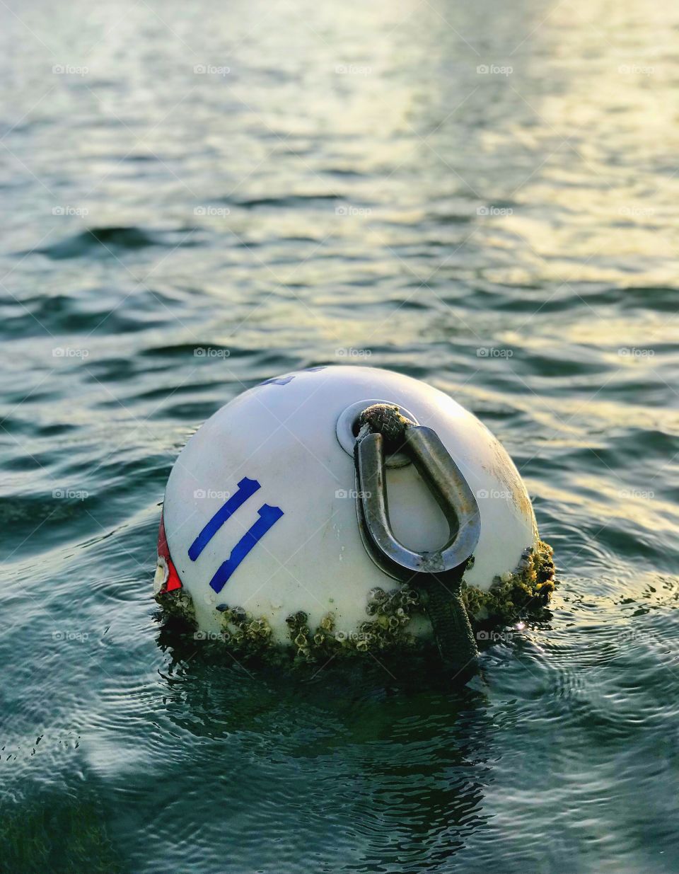 Buoy with Barnacles
