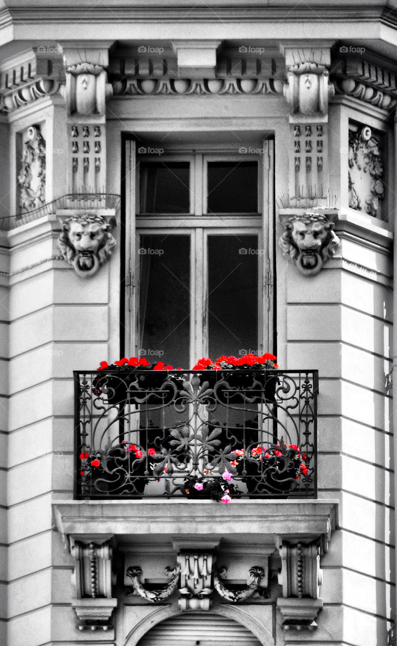 BALCONY WINDOW