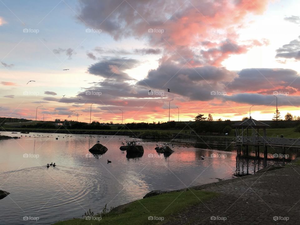 Sunrise and the early birds with the worms.  Sunset and still birds with the worms oblivious to nature’s drama over head.