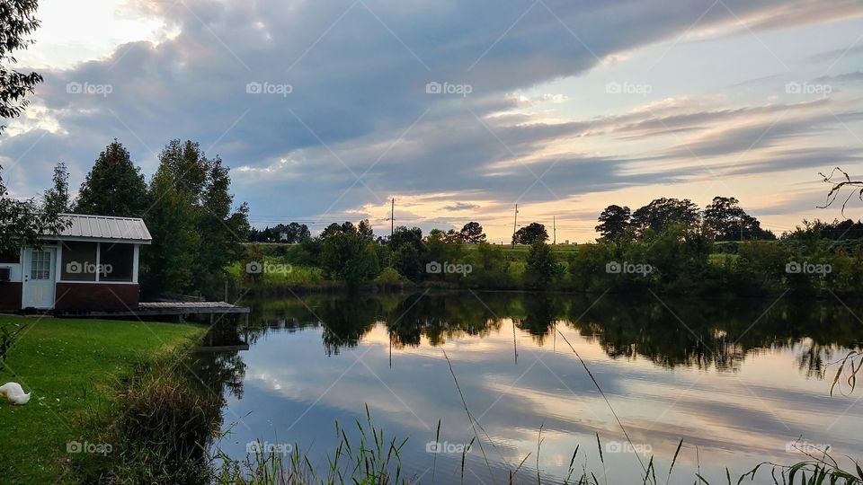 Water, Lake, Reflection, Tree, Landscape