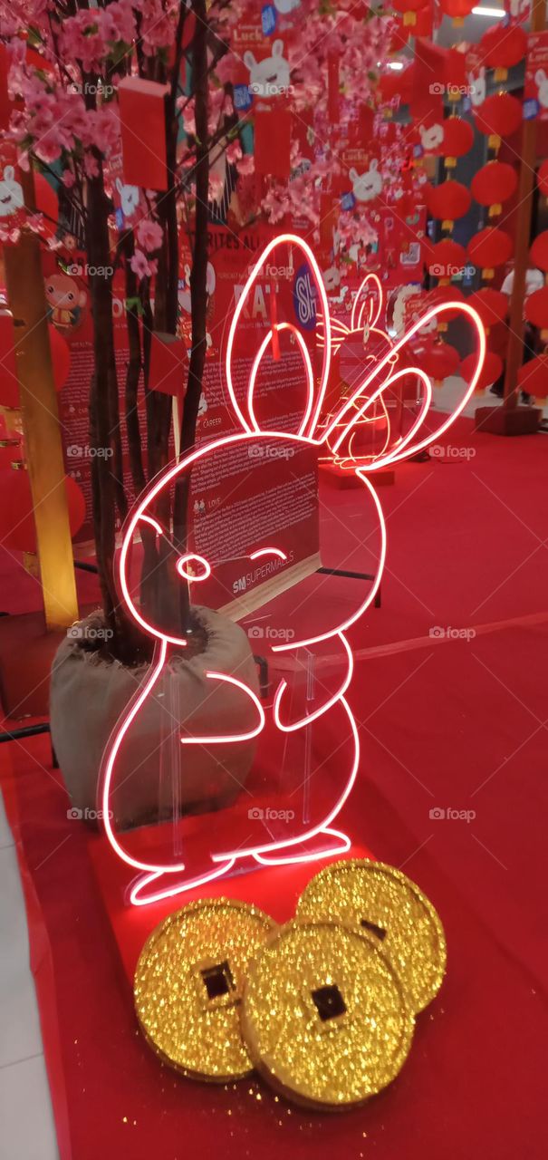 Rabbit in many areas of the world, a part of daily life—as food, clothing, a companion, and a source of artistic inspiration. And this year Chinese Horoscope is Year of the Rabbit -  represents peaceful and patient energy.