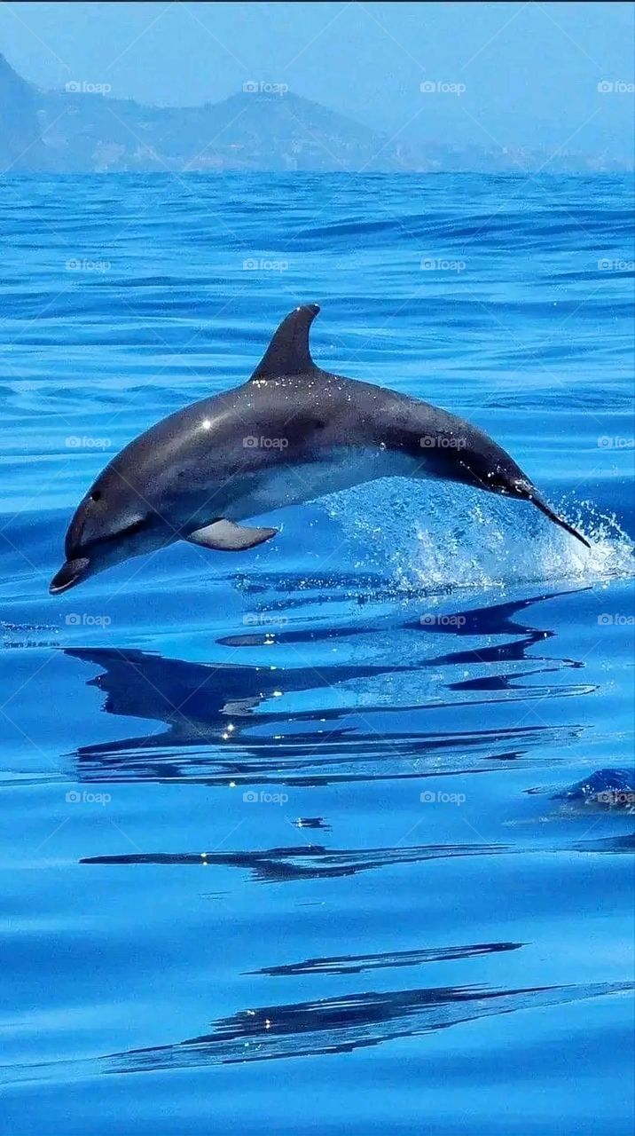 A very beautiful picture, and there is no better picture than it. There is no better picture of green herbs and colorful, red and white roses than it. Glory be to God, the natural and picturesque view, and there is no more wonderful picture than it.