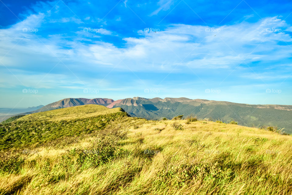 View of grassy land