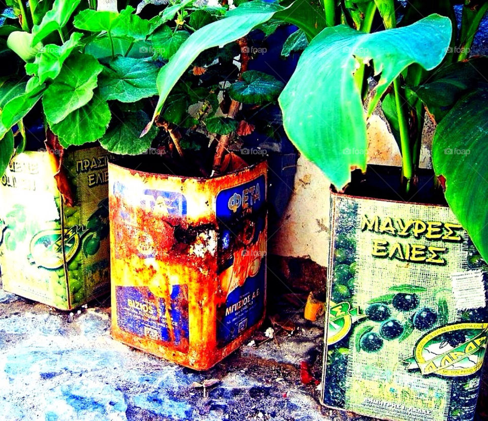 green flowers rust boxes by merethe