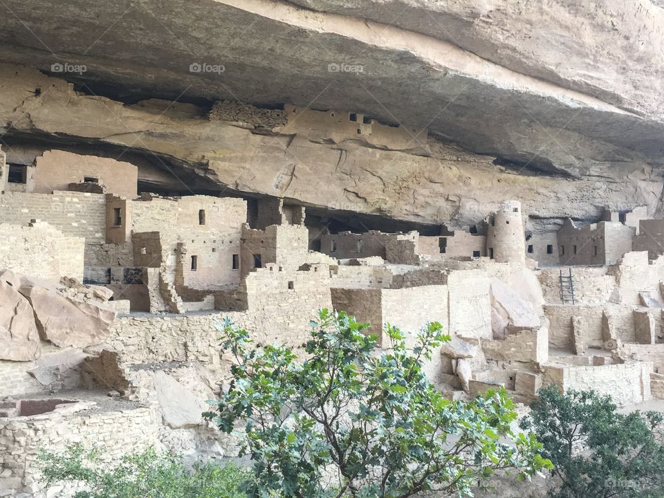 Mesa Verde