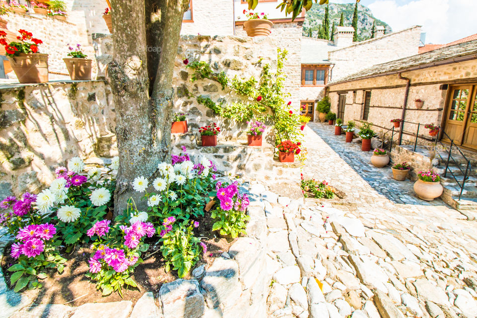 Backyard With Flowers