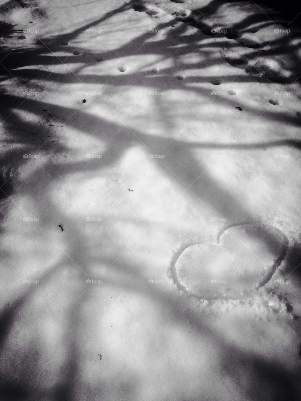 Heart and tree shadow in the snow
