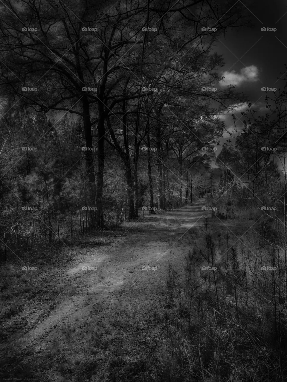 Old Road