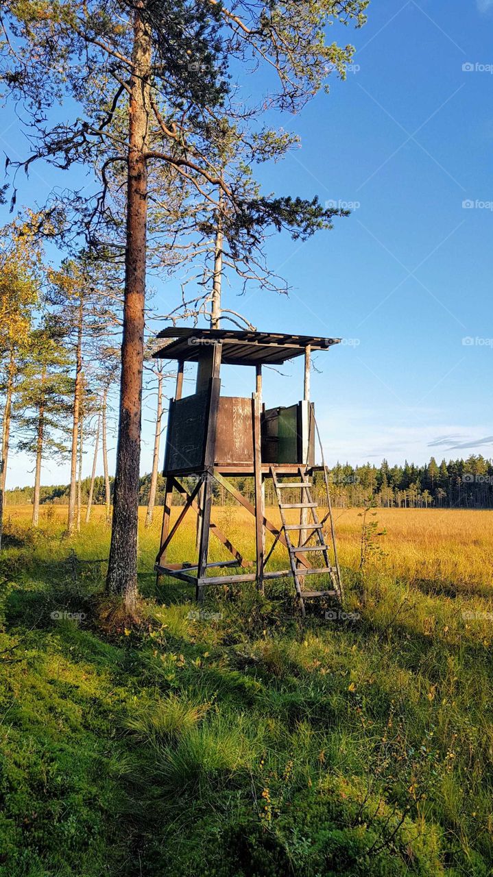 hunting tower