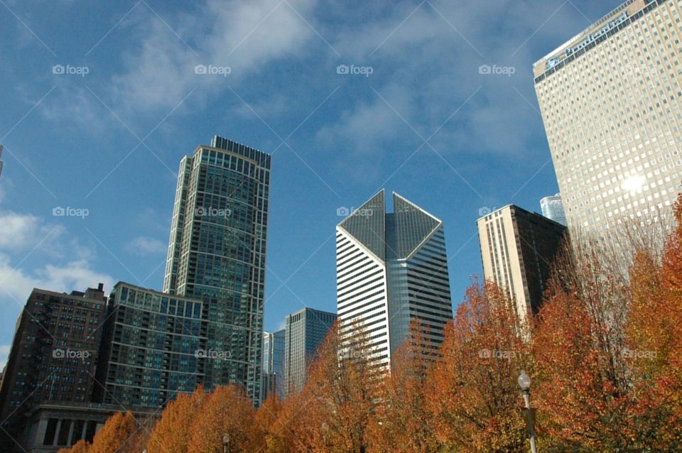 Chicago Autumn