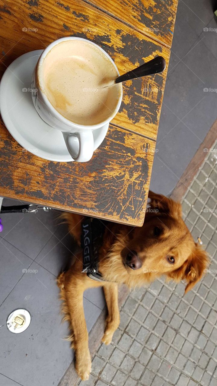 coffee with my dog