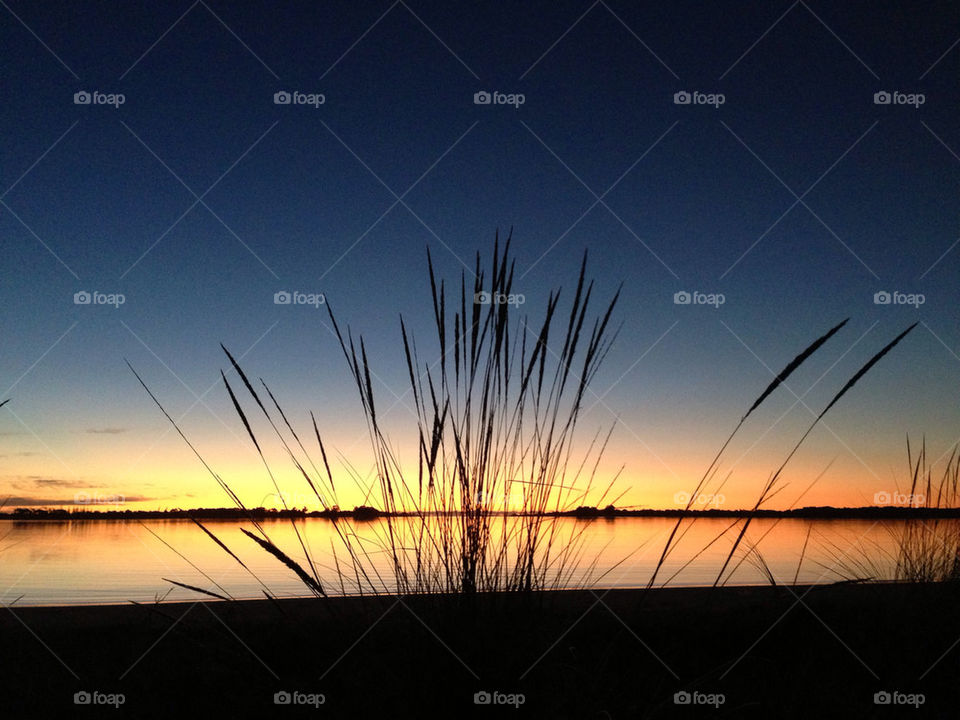 Grasses, sunset sky, water
