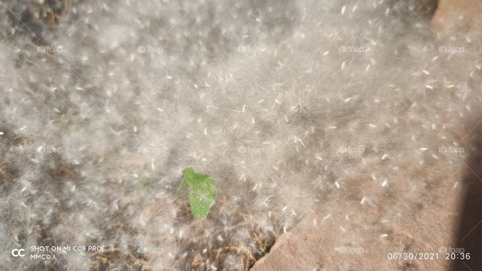 impressionism series