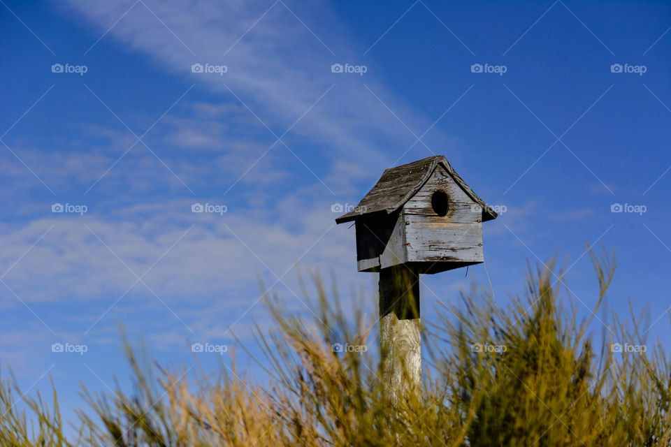 Birdhouse on the Prairie Central Oregon