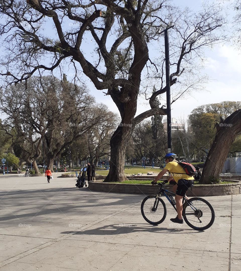 el ciclista en acción