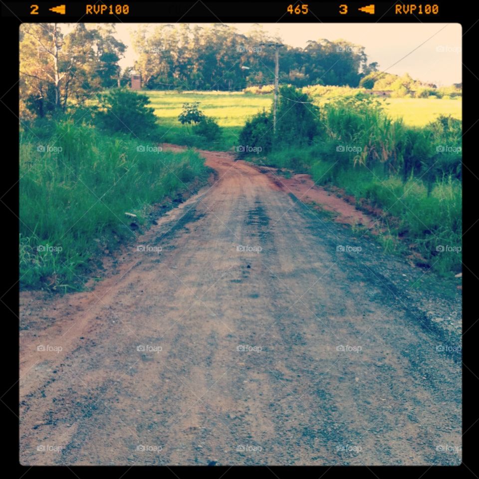 A paisagem de uma estradinha de terra perdida em lugar qualquer. Na verdade, foi em Jundiaí.