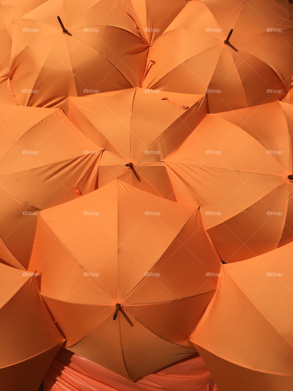 Orange Umbrellas