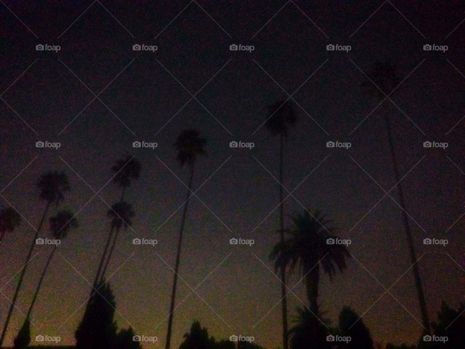 LA night sky