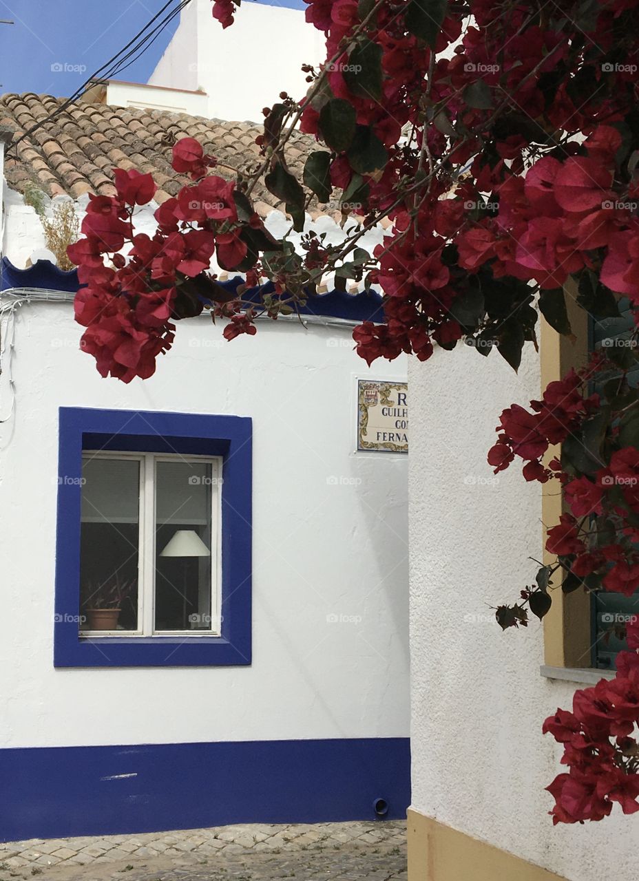 White and blue cosy house with bougainvillea 