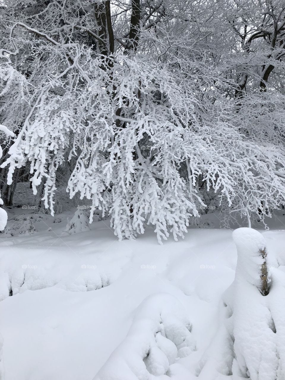 Schneezauber