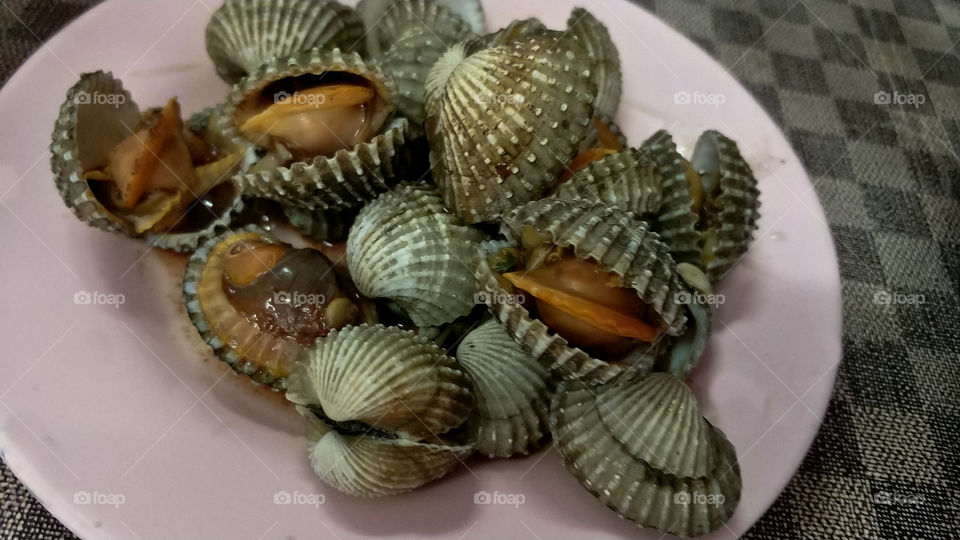 Streamed Cockles