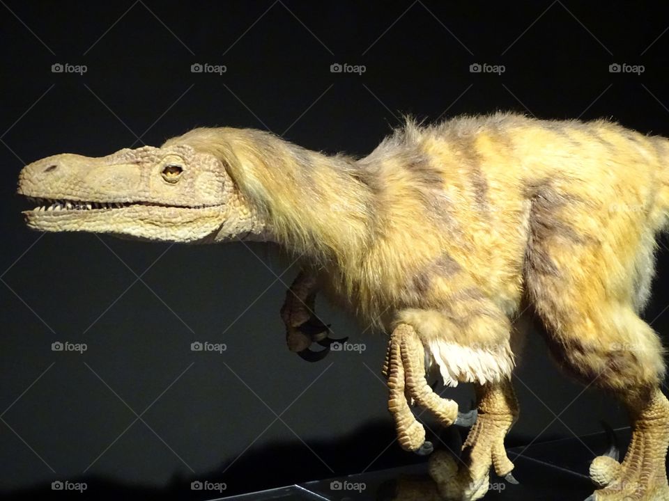 The ancestor monster