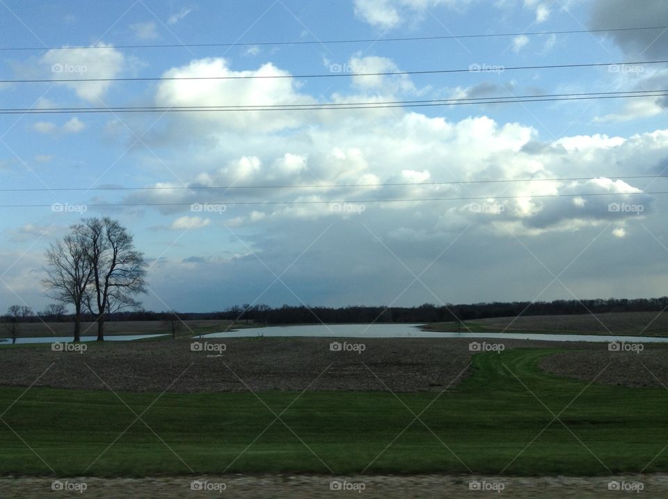 Flooded field