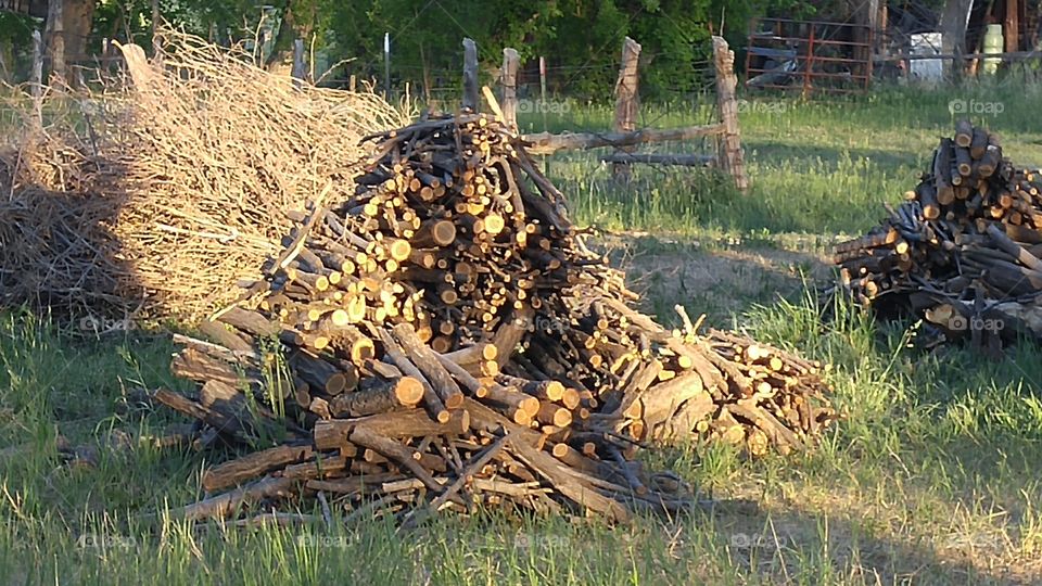 Firewood at sunset