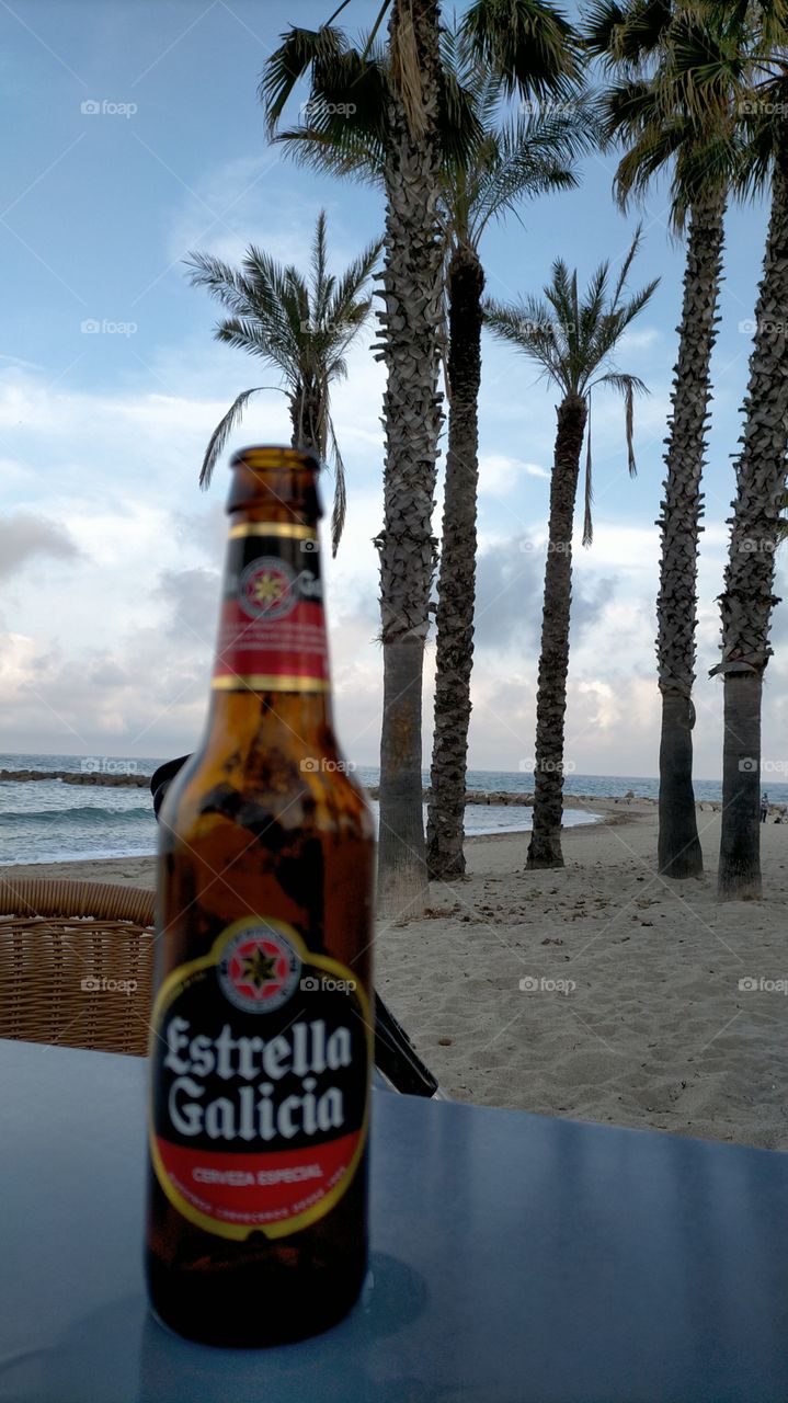 fresquita en el oasis