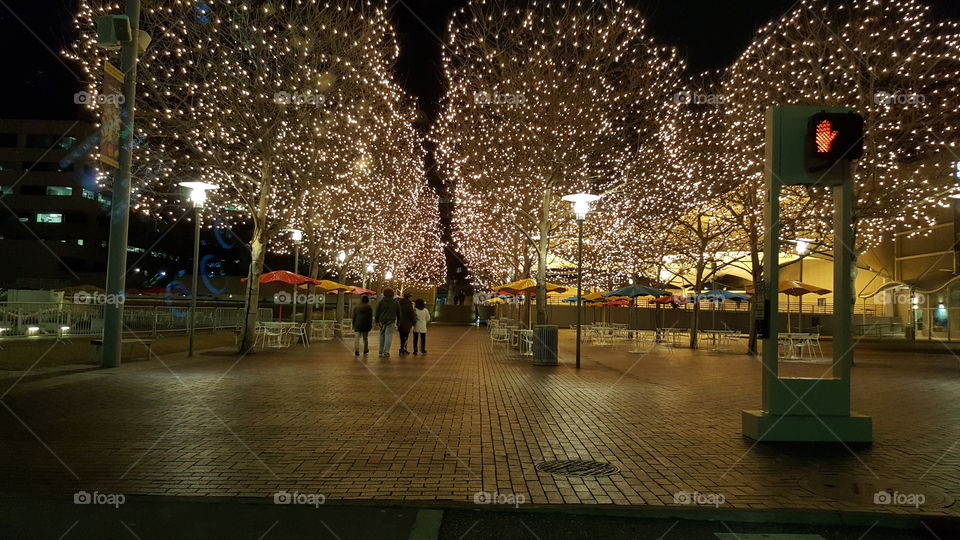 Holidays light up the night.