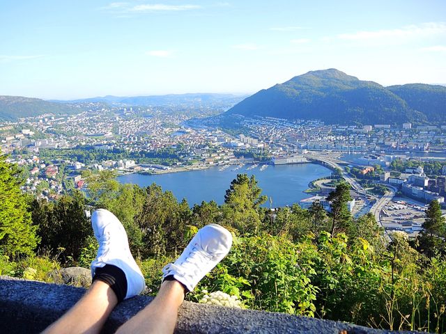 Views 