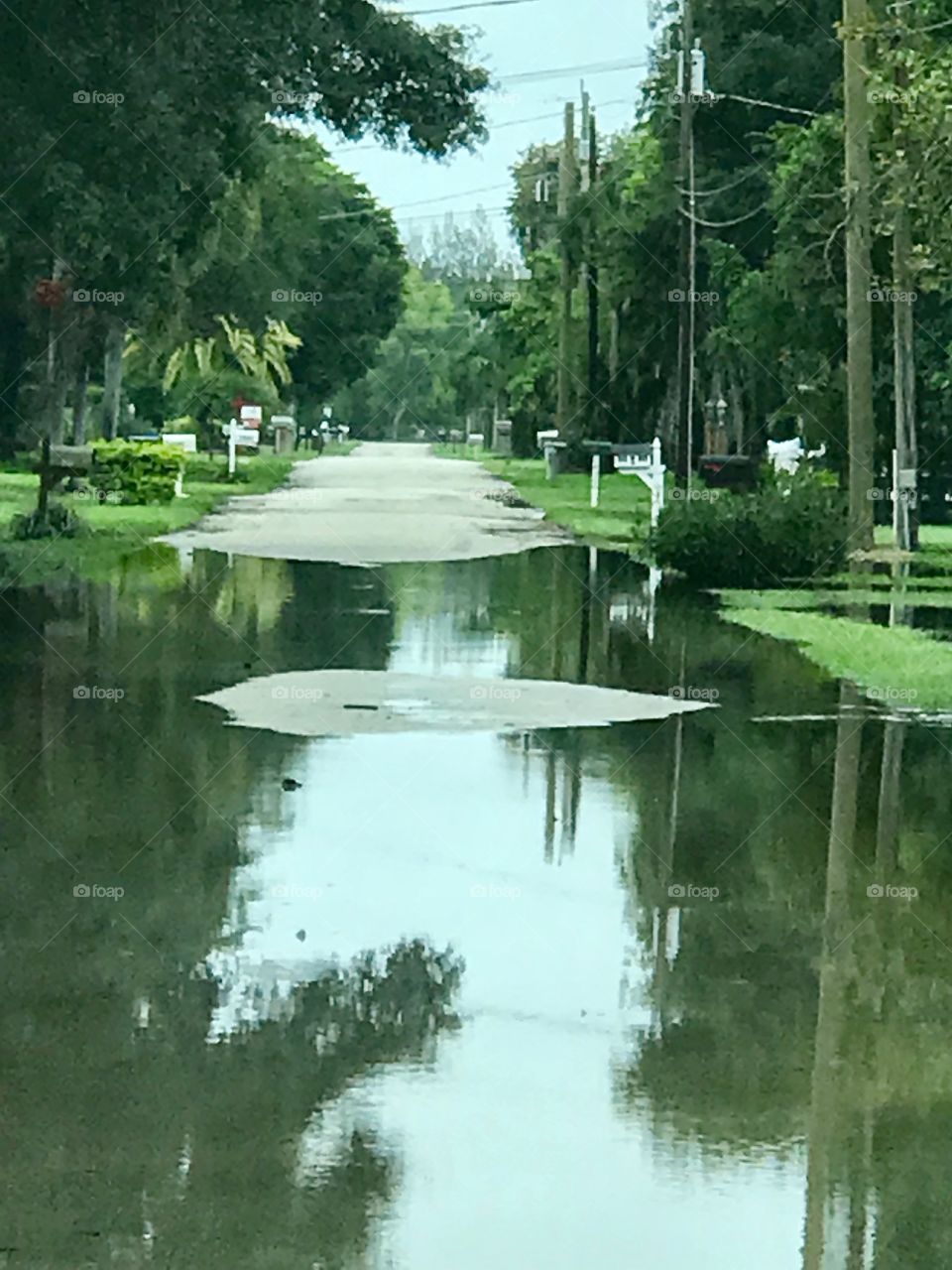 Rain covered road in Davie, FL, USA 