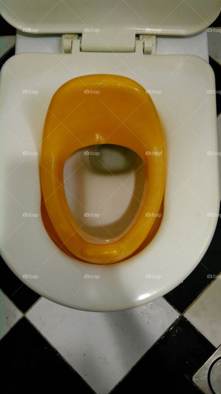 toilet seat for toddlers