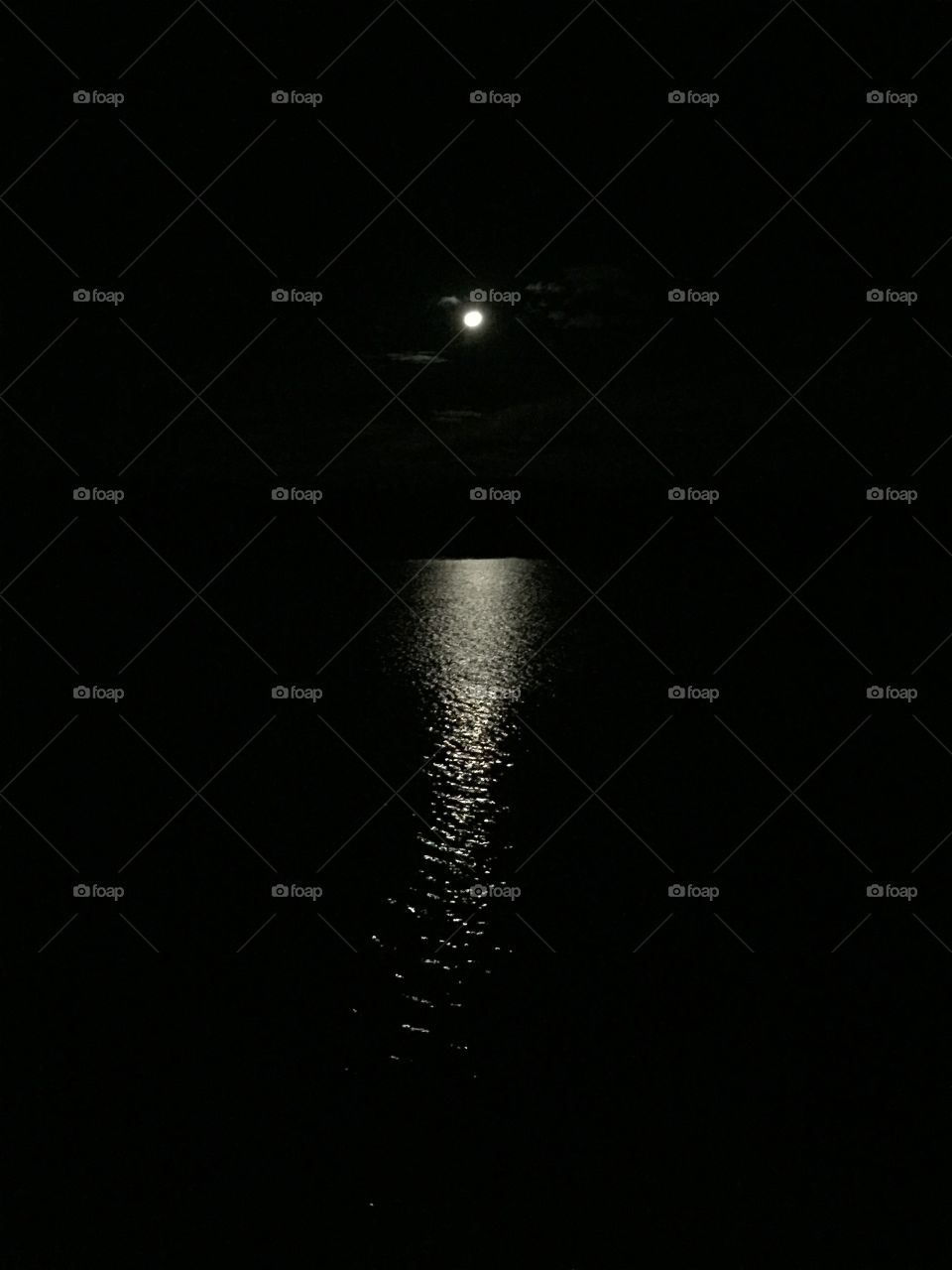 Moon on pond 