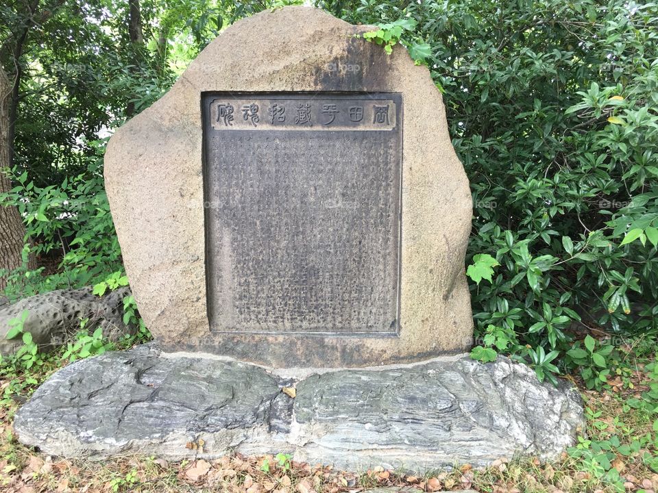 Stone, Garden, Wood, Nature, Park