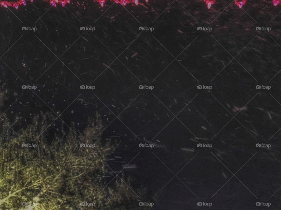 The only time you’ll see snow in Orlando is from a snow blower! 