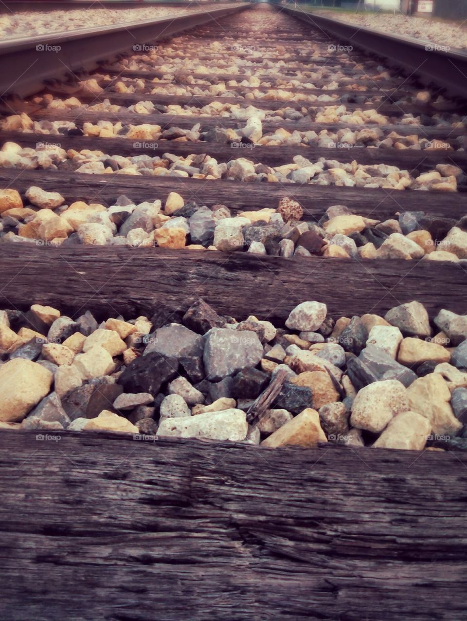 tracks