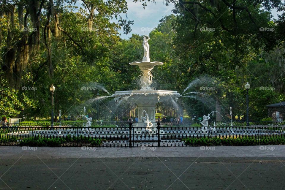 Savannah fountain