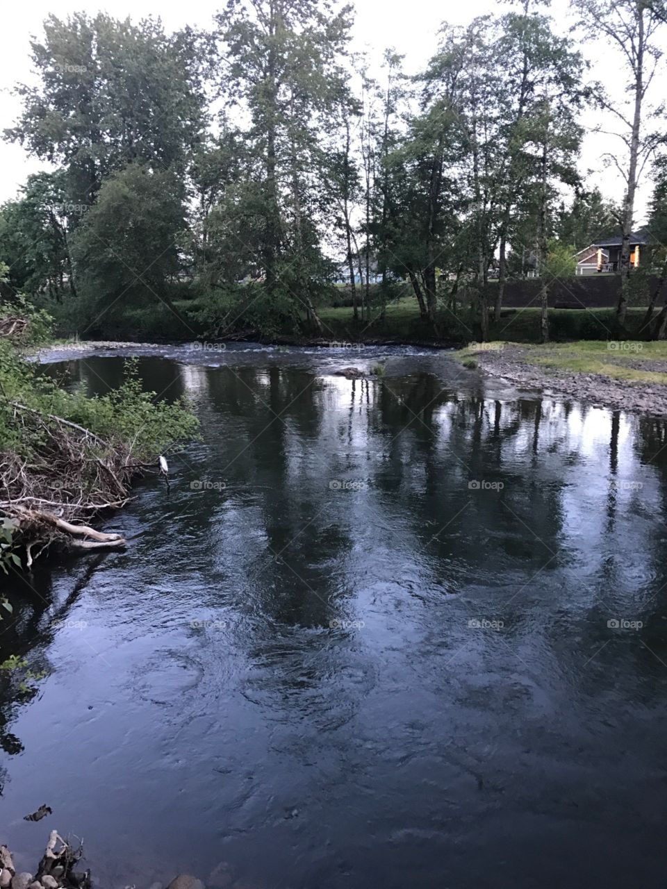 Beautiful creek across the street from where we live. 