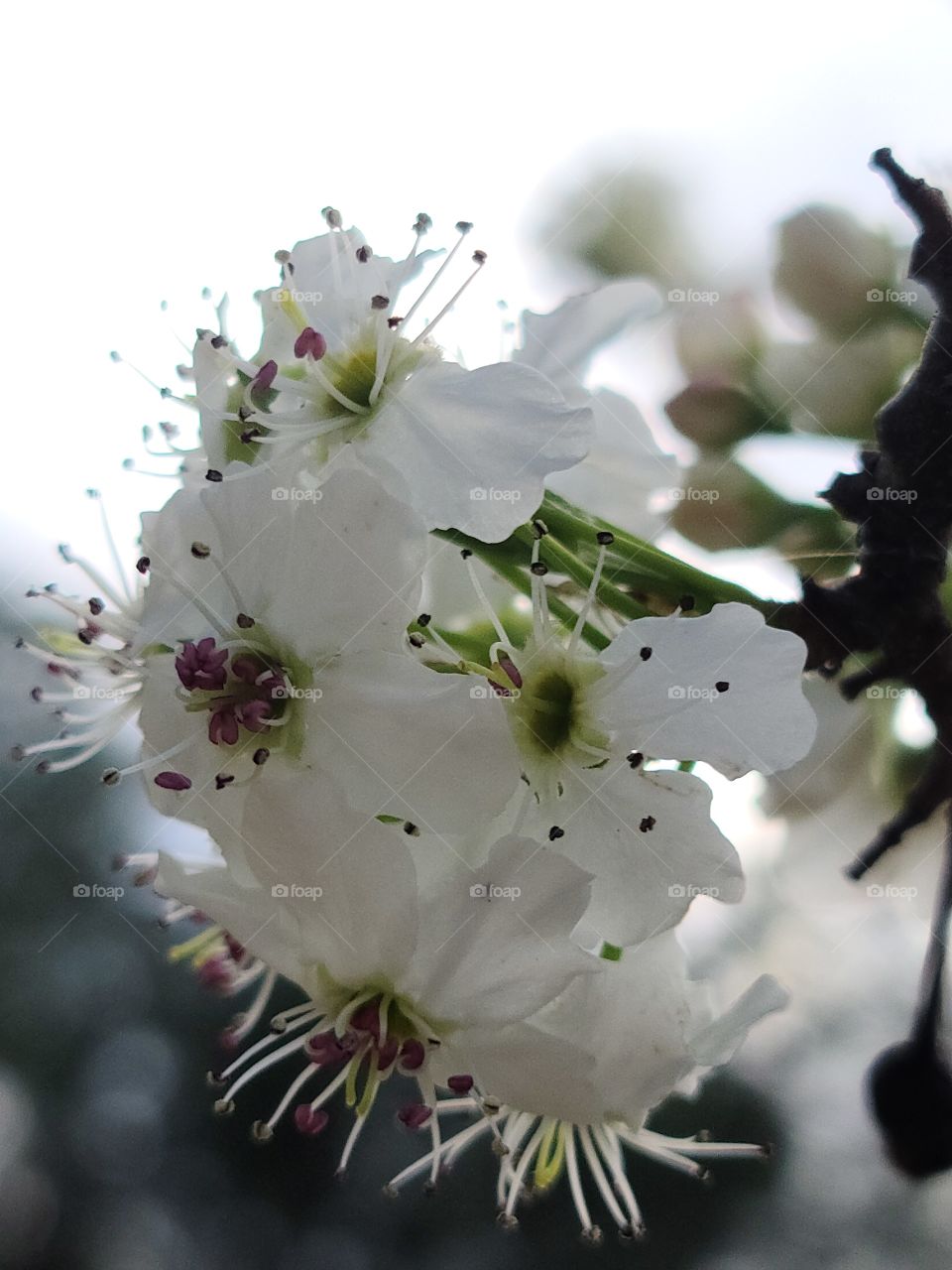 First Signs of Spring