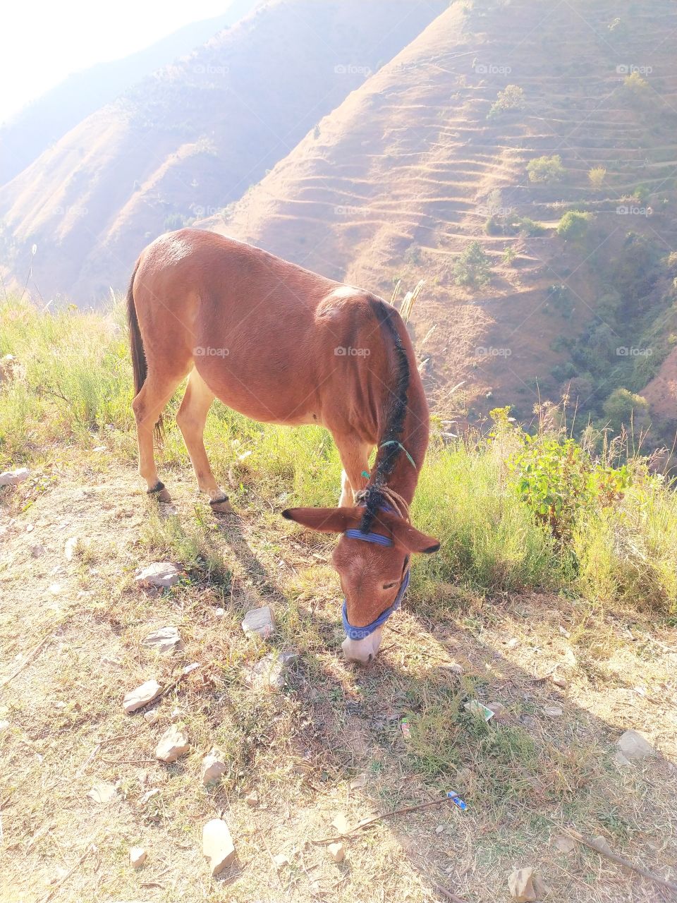 Wonderful view on the way to Uttarkashi