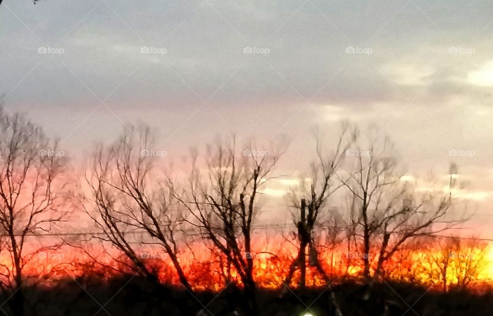 Sunrise Burning Through the Gray