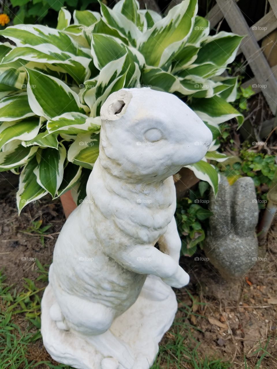 Perfect imperfections