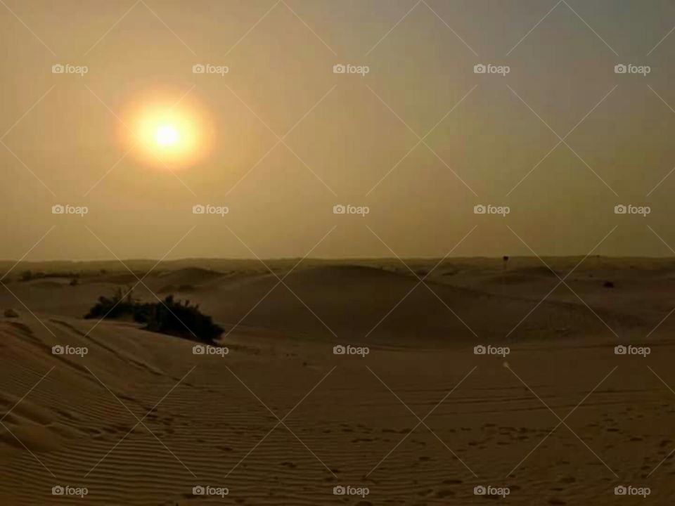 desert Dubai