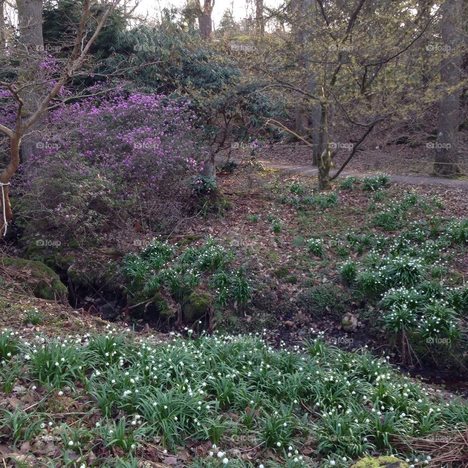 Spring in Gothenburg 