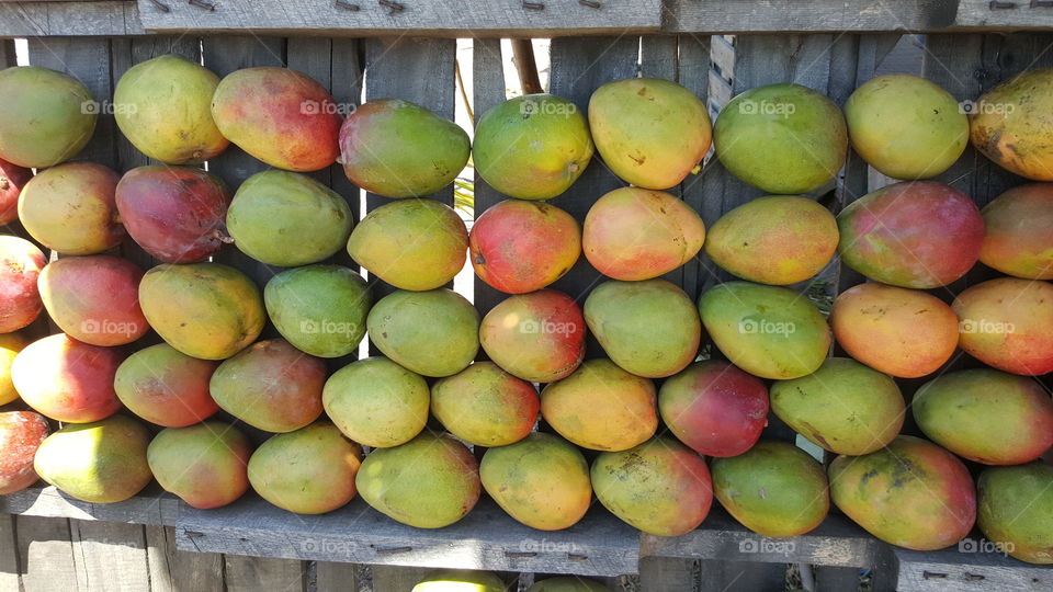 El color de los mangos