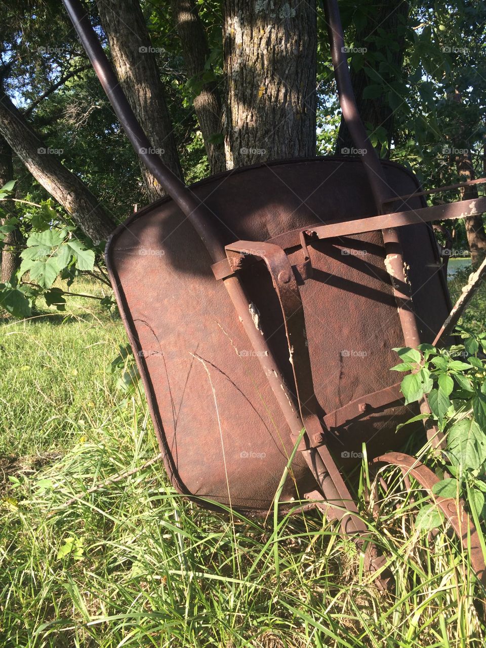 Rusty Old Wheelbarrow - Well Used