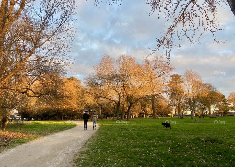 Walking in the park 