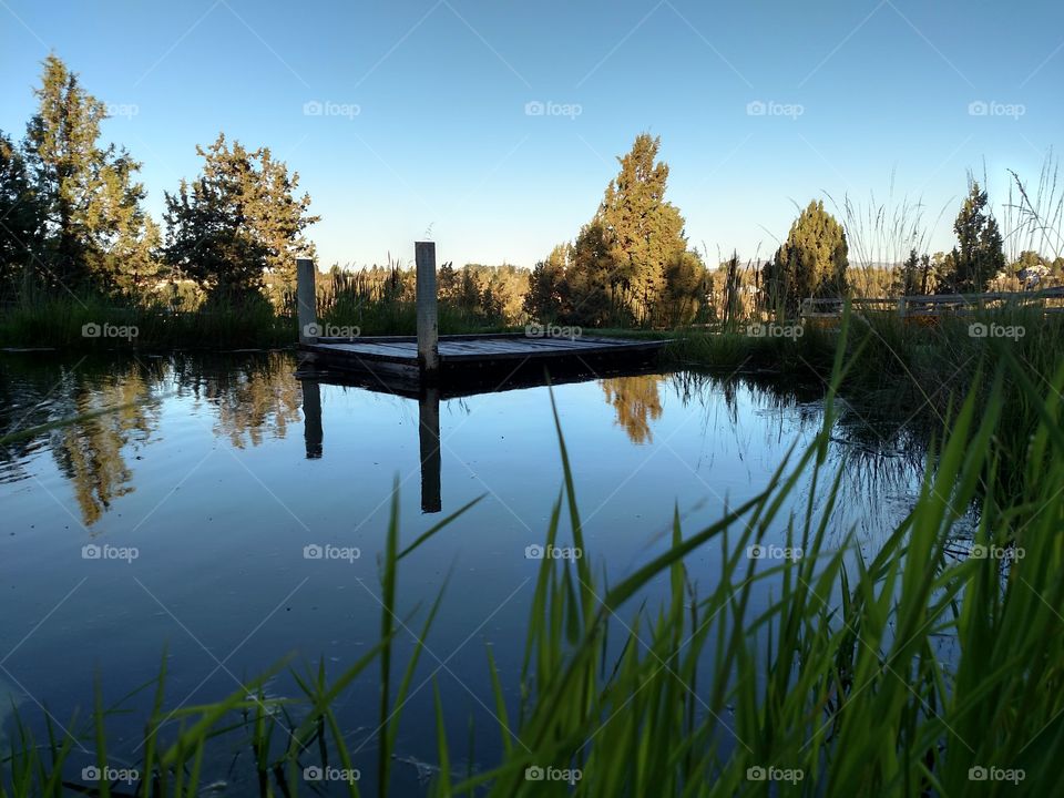 Dock On a Pond