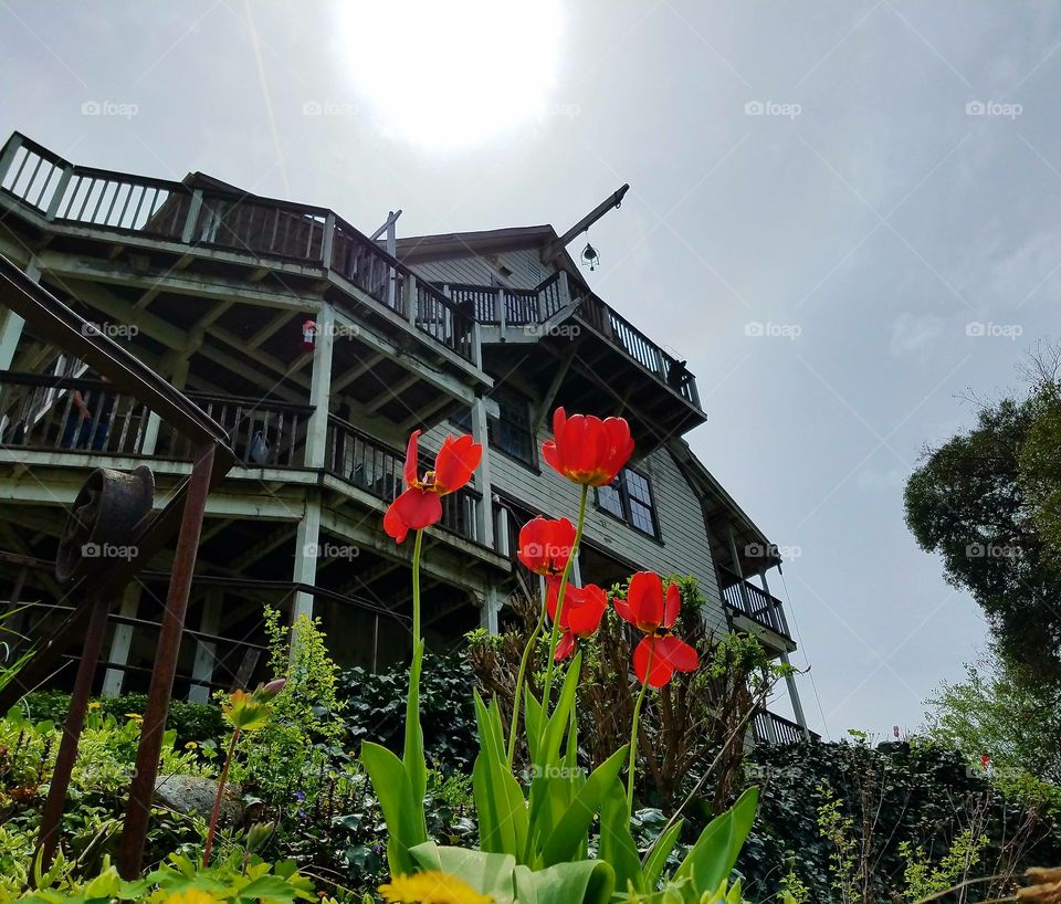 springtime flowers in back of an old hotel